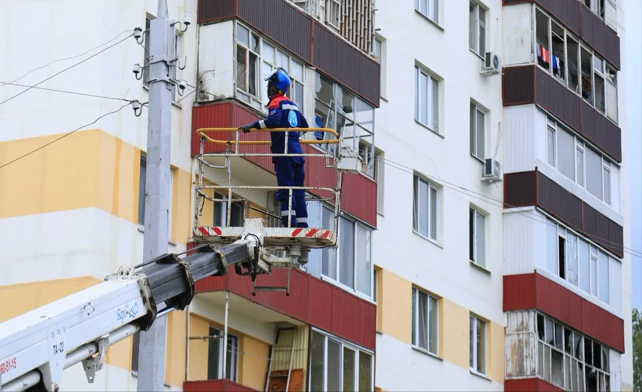 Котов, грызунов, рыб и черепаху вывезли из атакованного дома и передали владельцам — животные в порядке.