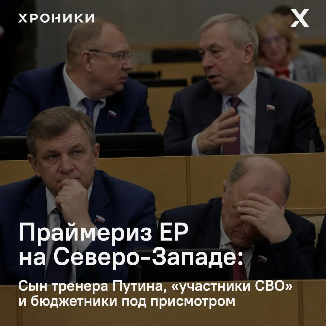 В ряде округов действующие депутаты проиграли, семейные и военные связи получили преимущество, а сама процедура всё больше напоминает заранее сформированную конструкцию.