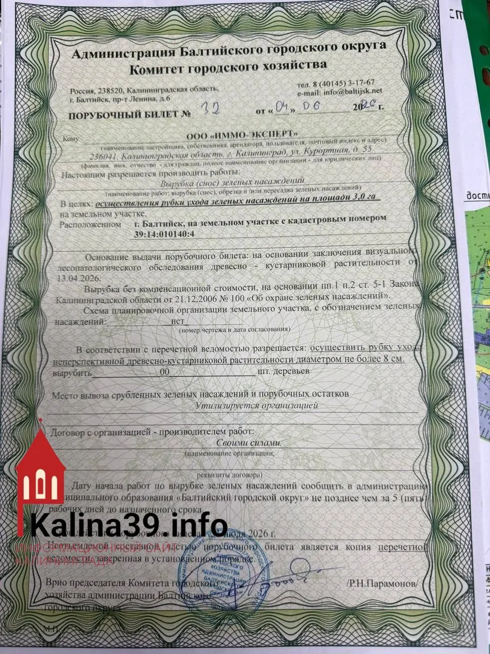 Городские защитные леса в районе Мечниково, расположенные в водоохранной зоне Балтийского моря, могут быть вырублены после выдачи порубочного билета компании, планирующей глэмпинг; экологи требуют проверки законности решения.