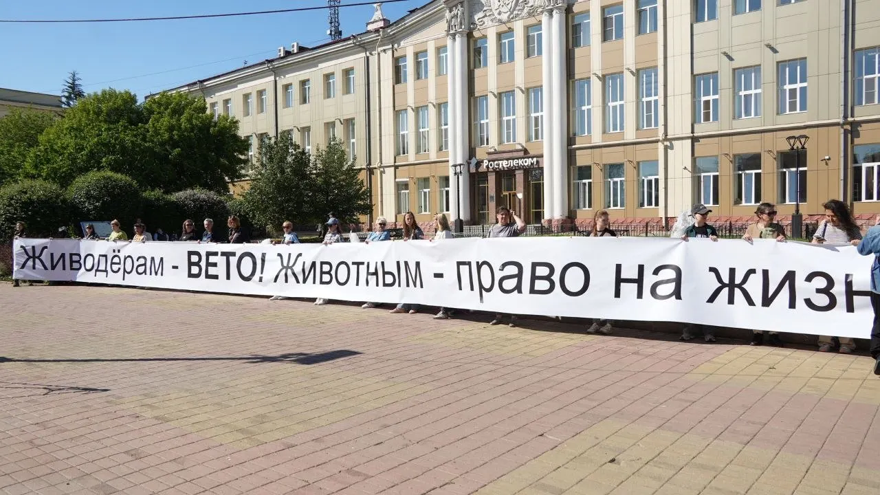 Активисты требуют внести изменения в региональный закон, допускающий умерщвление безнадзорных собак в «экстраординарных ситуациях», и предлагают сохранять гуманные методы регулирования численности животных.