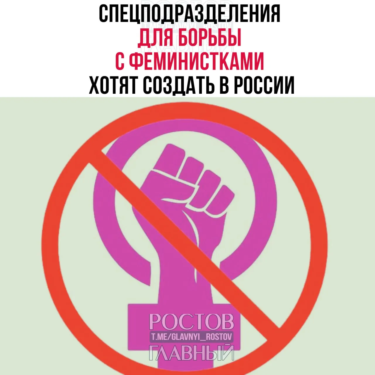 Авторы инициативы предлагают отслеживать радикальные высказывания в интернете, вводить школьные уроки по гендерному равенству и привлекать к ответственности за «оскорбление мужчин». Обсуждают, стоит ли предпринимать такие меры.