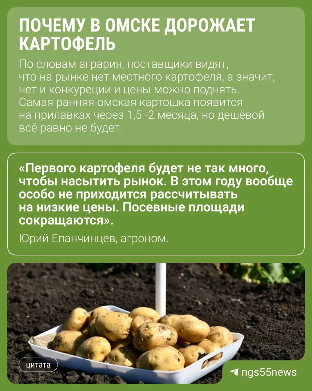 Цена картофеля в Омске выросла примерно на 20%. Местный урожай почти закончился, на рынках остался в основном импортный картофель, поэтому поставщики не снижают прайс.