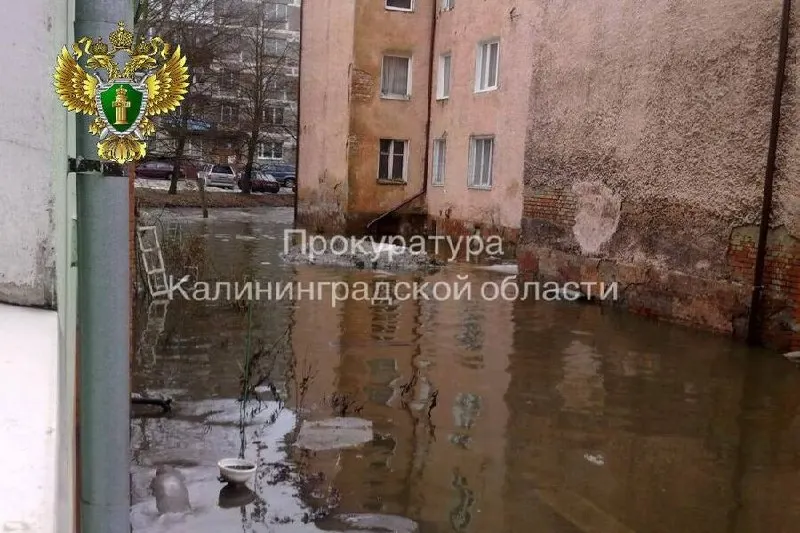 Жителям расселённого по предписанию прокуратуры аварийного дома №47–49 в Калининграде вручили ключи от жилья на Борисовском бульваре. Следователи осмотрели здание и возбудили уголовное дело; часть семей выбрала денежную компенсацию.