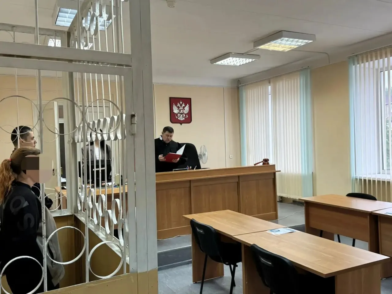 Суд признал мать виновной в длительных жестоких наказаниях ребенка: суд назначил ей наказание в виде 3 лет и 6 месяцев лишения свободы в колонии.