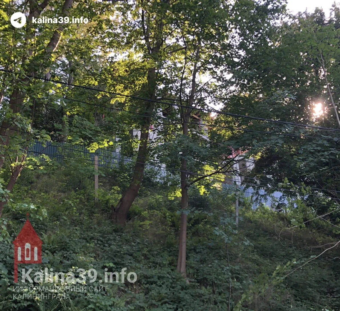 В Калининградской области более 1,2 га зелёной зоны в центре Светлогорска перевели в общественно‑деловую зону — здесь разрешили строительство гостиниц, ресторанов и туристических объектов. На одном из участков планируют инвестпроект стоимостью 600 млн руб.