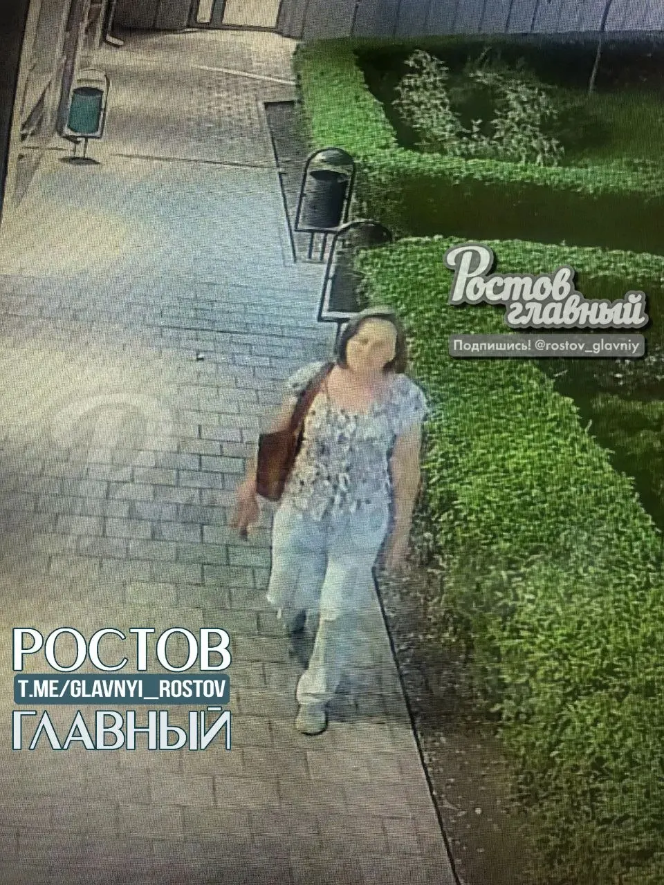 Очевидцы сообщили, что женщина сняла и унесла декоративный куст у торгового центра по адресу ул. 50-летия Ростсельмаша, 1/52; свидетели просят вернуть растение, в противном случае материалы обещают передать в полицию.