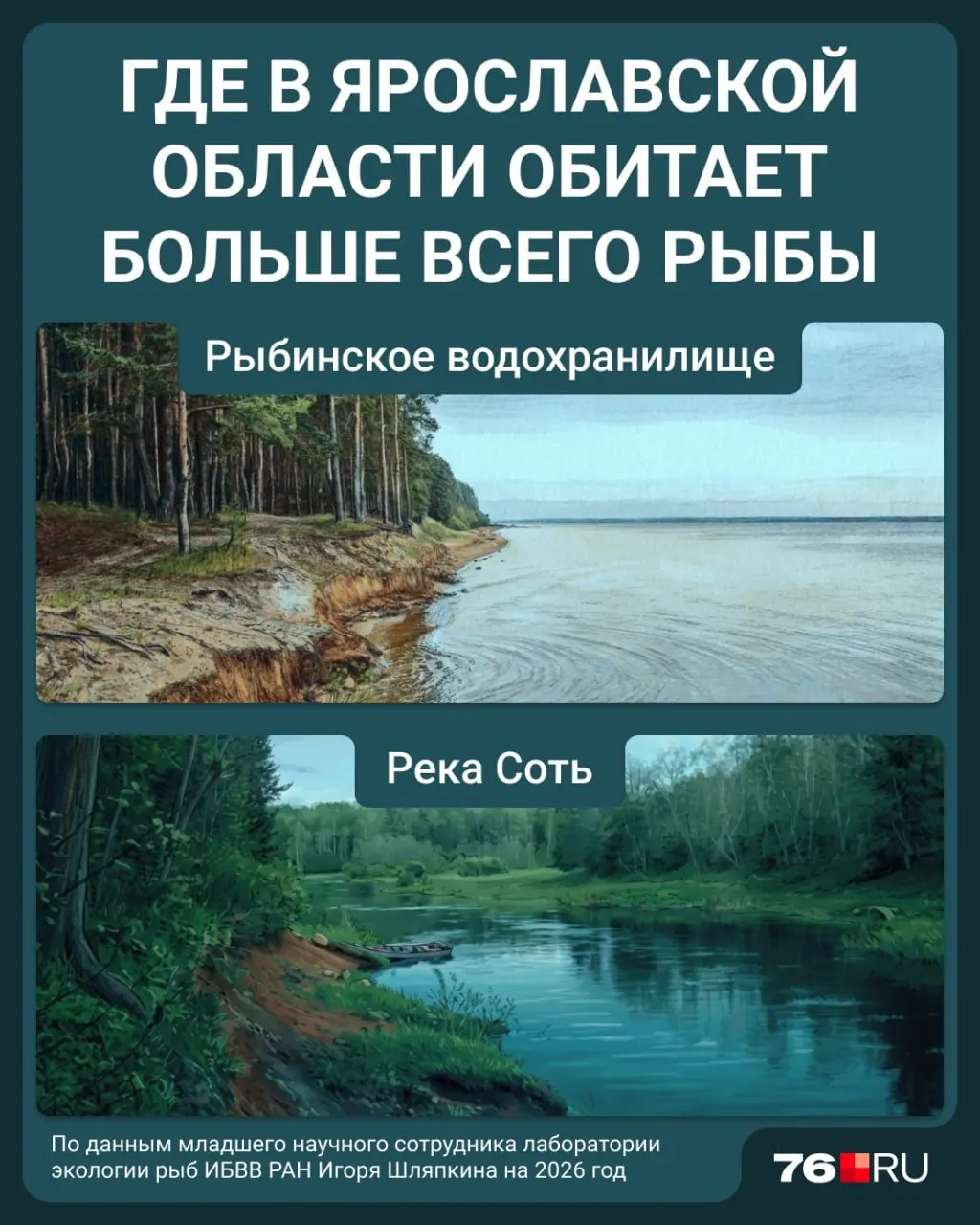 Ихтиолог Игорь Шляпкин назвал Рыбинское водохранилище и реку Соть лучшими местами для рыбалки в регионе и перечислил наиболее распространённые виды рыб.