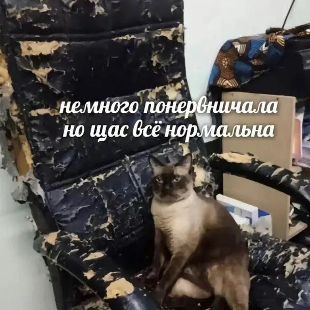 В июне ожидается четырёхдневная рабочая неделя с 8 по 11 июня. 12 июня отмечается День России, в предпраздничный день рабочее время сокращается на один час, поэтому выходные будут с 12 по 14 июня включительно.