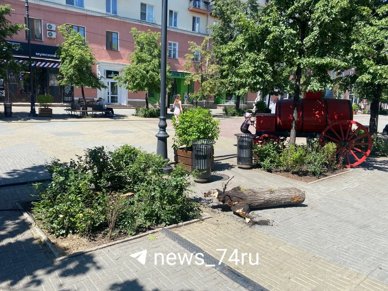 На пешеходной улице Кировка убрали четыре сухих дерева на основании разрешения. В администрации сообщили, что осенью на их месте высадят новые липы.