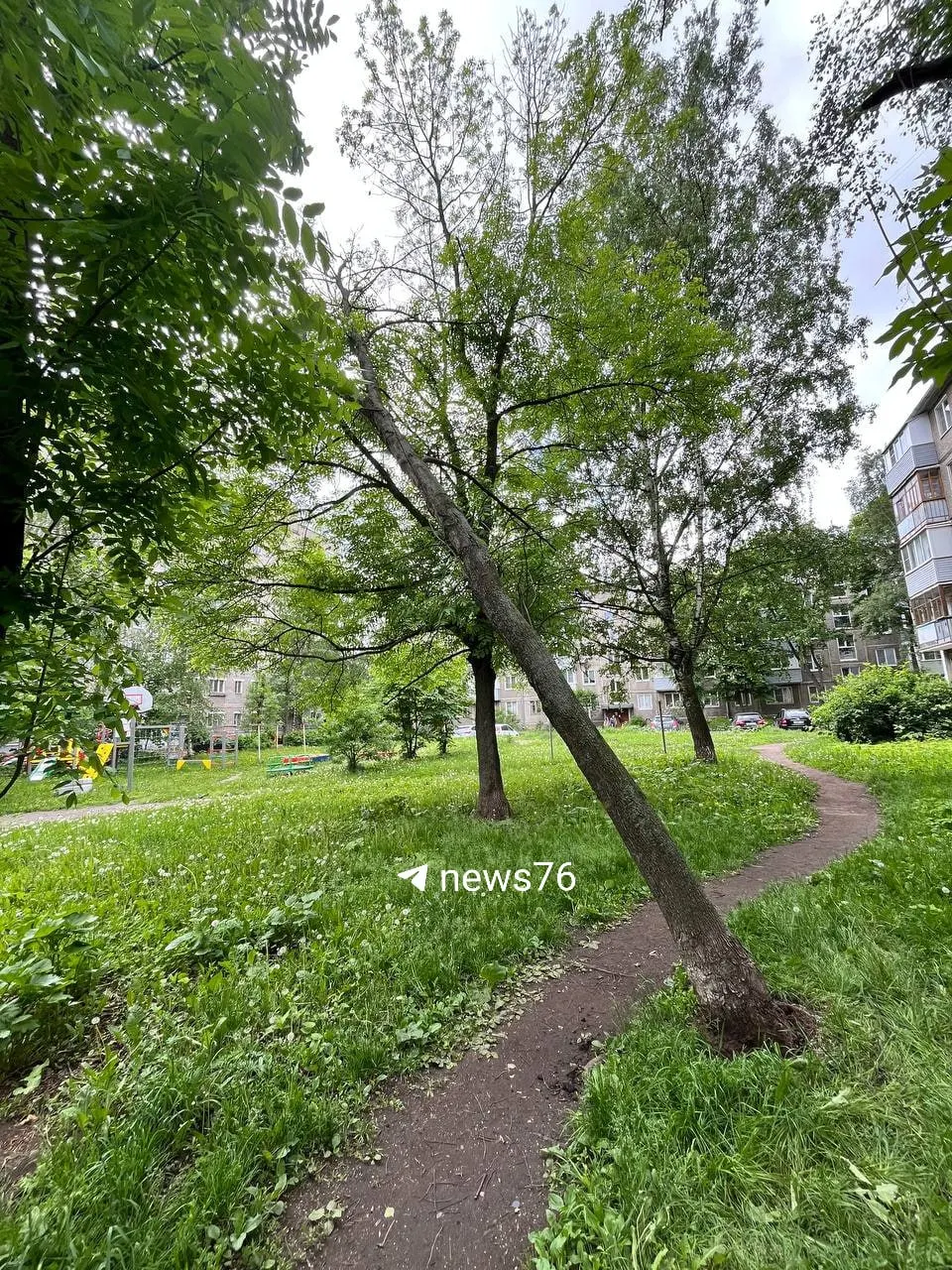 Дерево у домов по Большой Октябрьской держится на соседних ветках уже неделю. Жители обращались в Единую диспетчерскую службу — обещали убрать в течение 24 часов, но ситуация не изменилась.