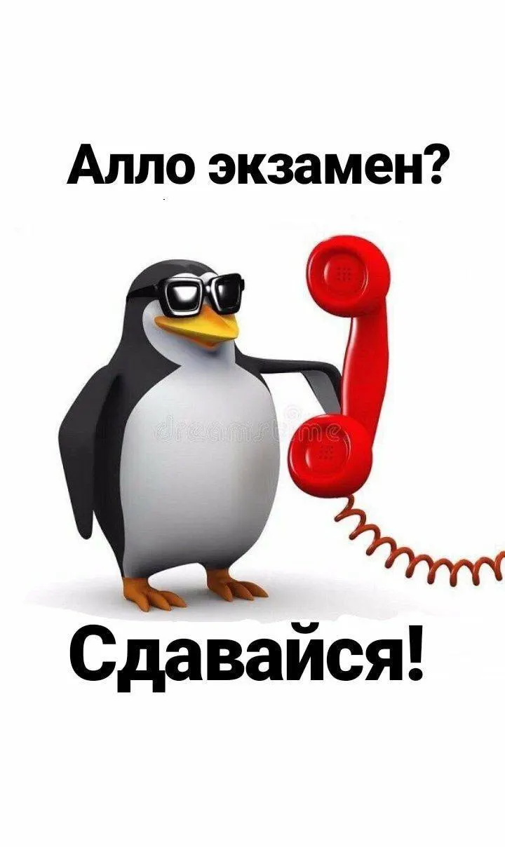 В Чите школьницу вывели с экзамена по истории: проверяют, не использовала ли она микрокамеру для передачи КИМ в интернет.