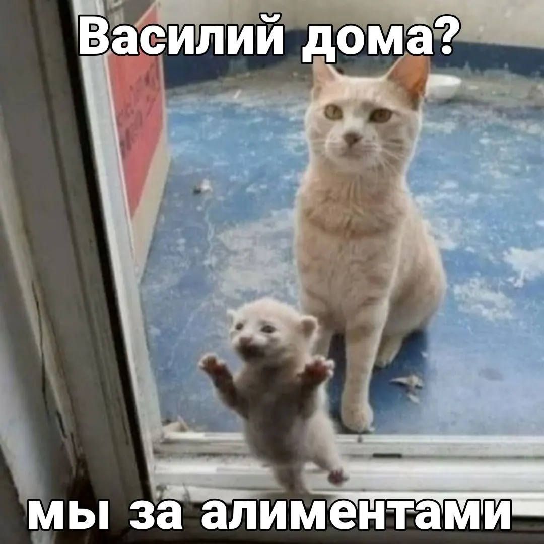 Судебные приставы по Красноярскому краю фиксируют ежегодный рост сумм взысканий в пользу детей: 3,5 млрд руб. в прошлом году, уже 1,5 млрд в этом и прогноз до 5 млрд к концу года.