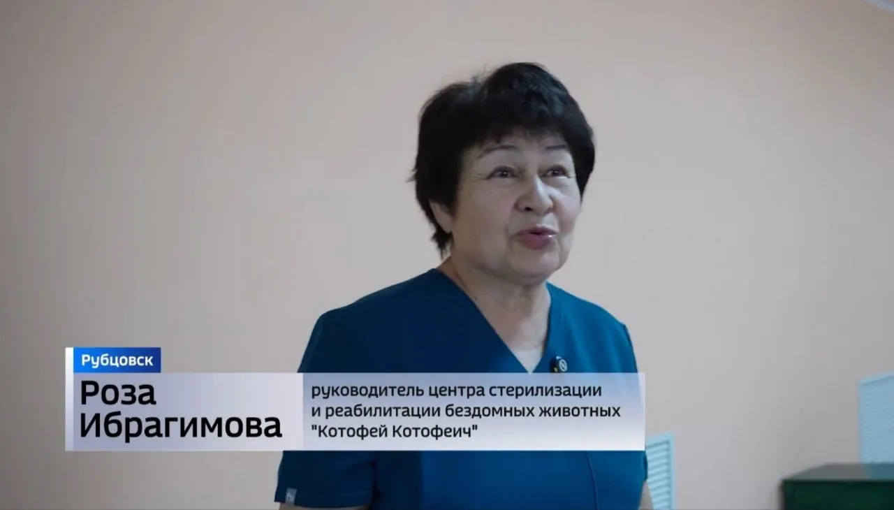 Супруги Роза и Хамит Ибрагимовы создали приют-центр стерилизации и реабилитации для бездомных кошек и собак — ремонт и оснащение сделали на грант и при поддержке волонтёров и жителей.