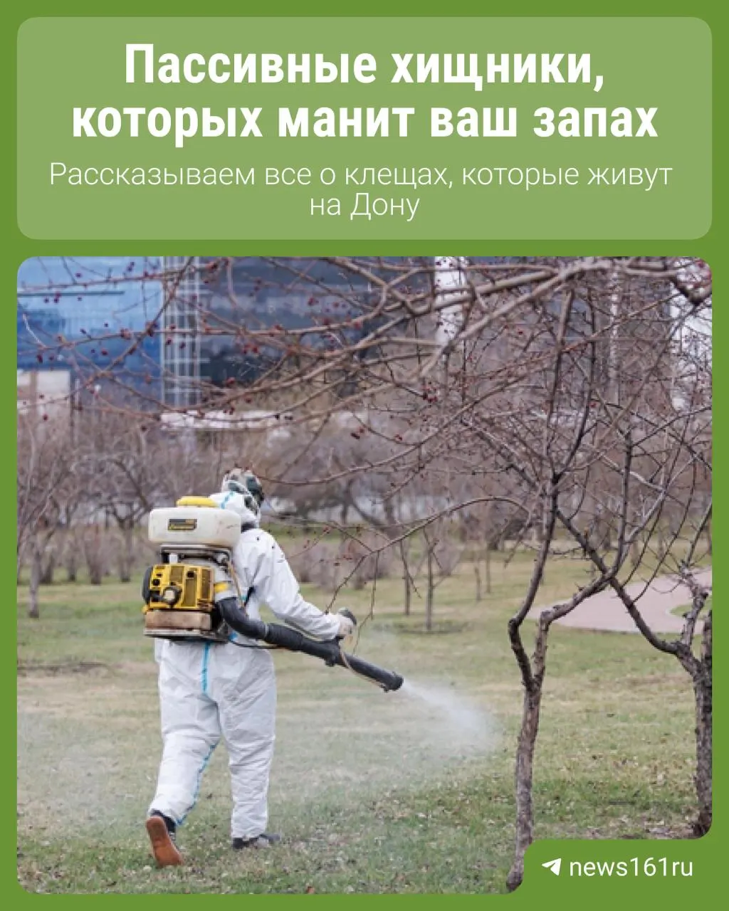 В Ростовской области отмечают рост численности клещей и случаев клещевых инфекций. Эксперты объясняют ситуацию и дают простые рекомендации по профилактике и действиям при укусе.