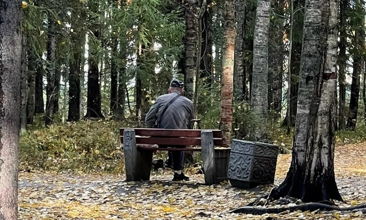 59‑летний житель Сегежского района подружился в сети с «инвестиционной сотрудницей», вложил деньги через электронный кошелёк и, попросив у брата помощь, потерял в общей сложности 1,29 млн рублей.