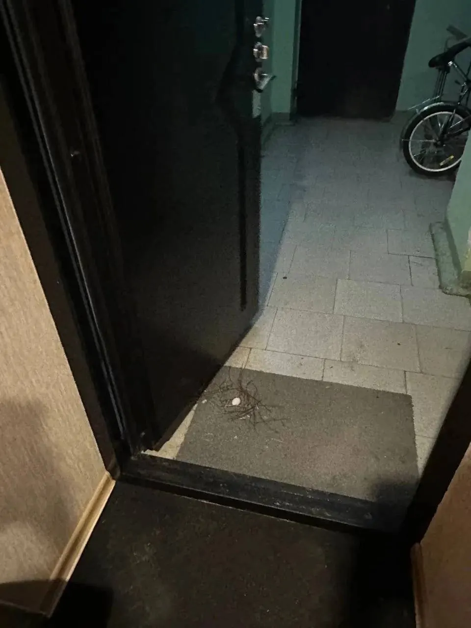 В одном из подъездов на улице Демократической жильцы нашли гнездо птицы с яйцом прямо на коврике у входной двери. По словам местных, птицы залетают в открытые окна и вьют гнёзда в подъезде.