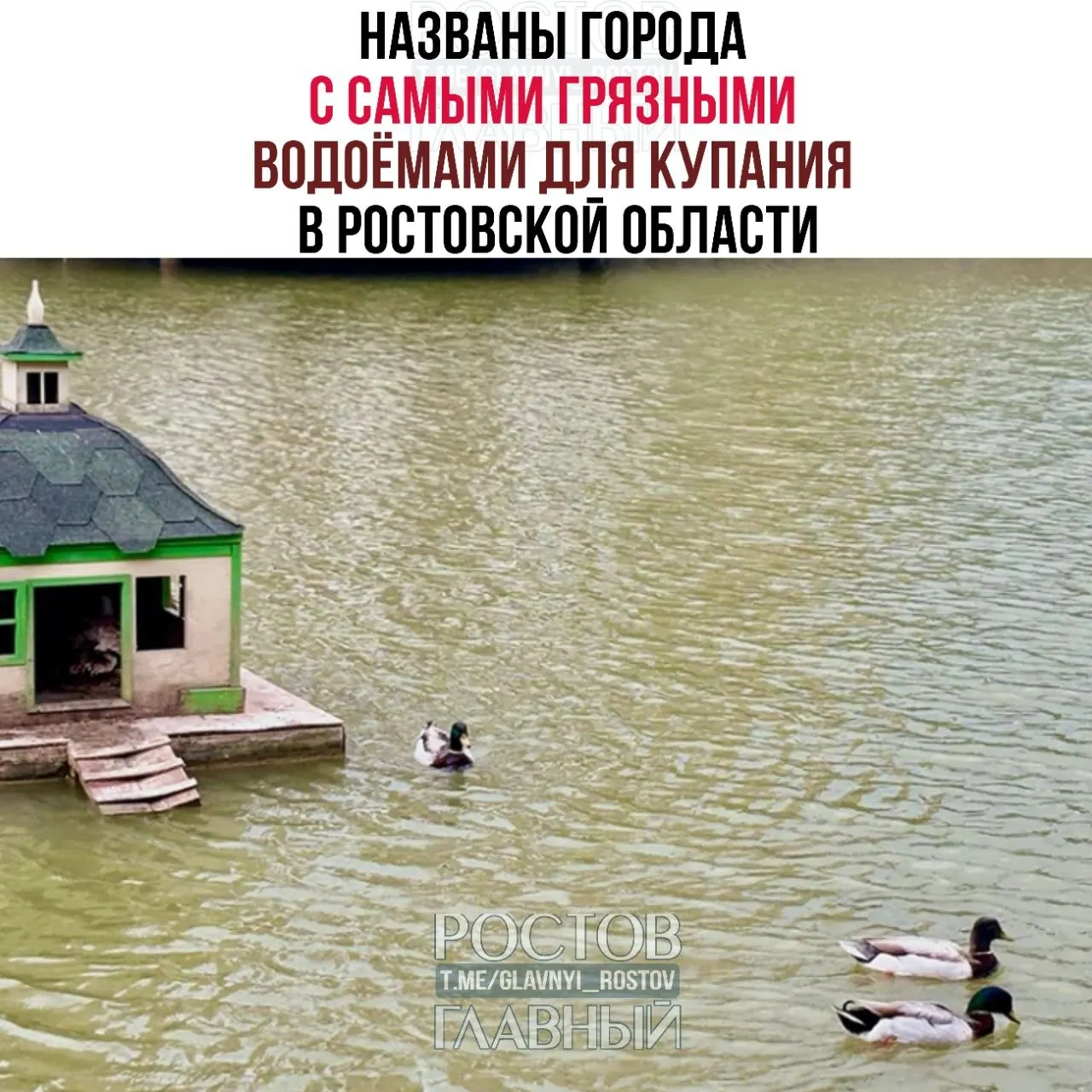 Проверка проб воды показала, что худшая ситуация по микробиологическому загрязнению — в Азове (87% неблагополучных проб). В лидерах также Батайск, Шахты, Ростов и Гуково. По санитарно‑химическим показателям больше всего нарушений зафиксировано в Ростове.