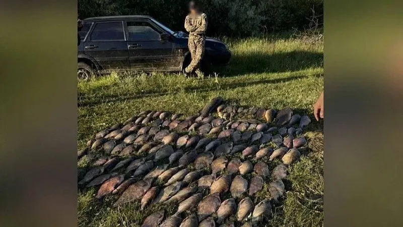 Двоих мужчин задержали на Волге у села Скатовка с сетями и 129 кг незаконного улова. Ущерб водным ресурсам оценён в 112 750 рублей, подозреваемым грозит до пяти лет лишения свободы.