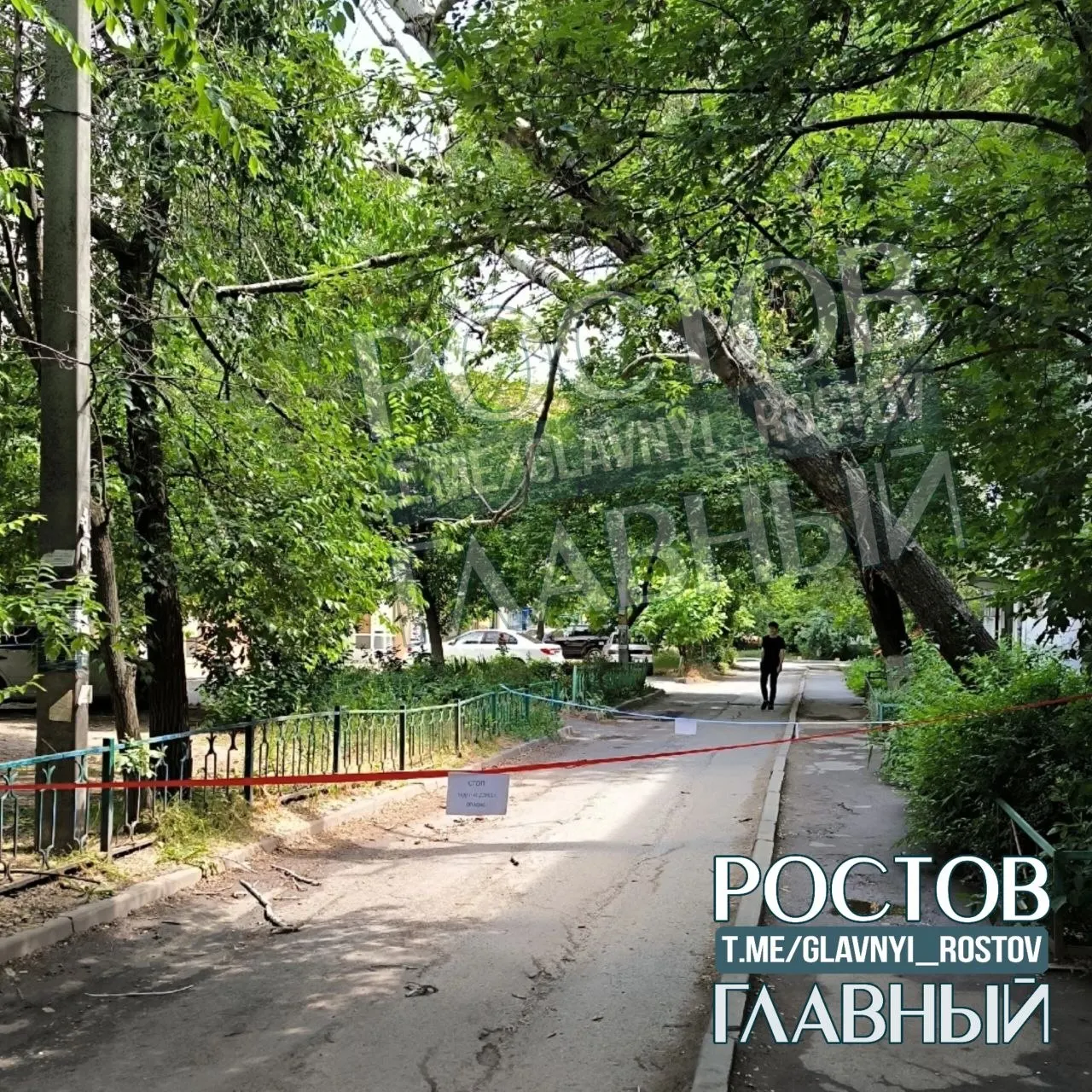 В 00:40 на Волкова, 7/4 упало дерево, которое ранее жильцы просили признать аварийным. Аварийные службы и УК перекладывают ответственность, а дерево угрожает провестиям и прохожим.