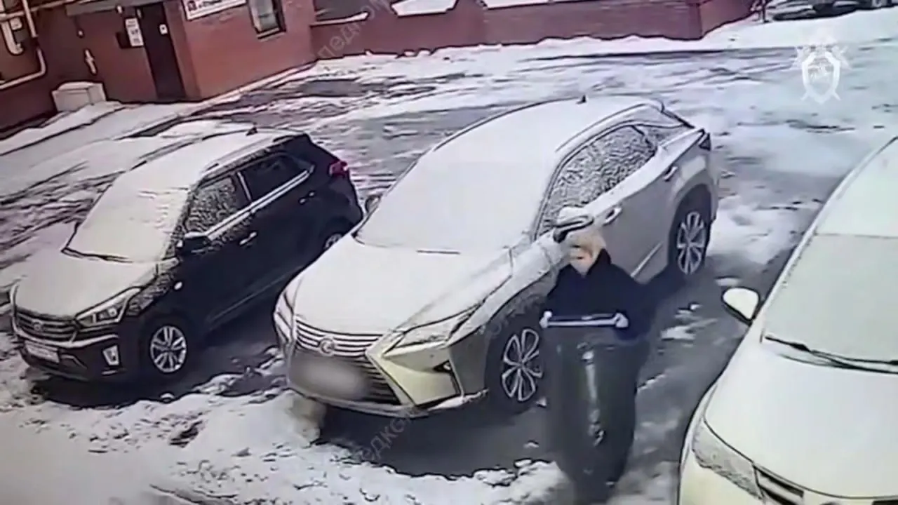 В Самарском областном суде допрошены таксисты, продавцы стройматериалов и консультант магазина. Они пояснили, что не знали о сути действий обвиняемой и лишь помогали с перевозками, покупками и залогом вещи.