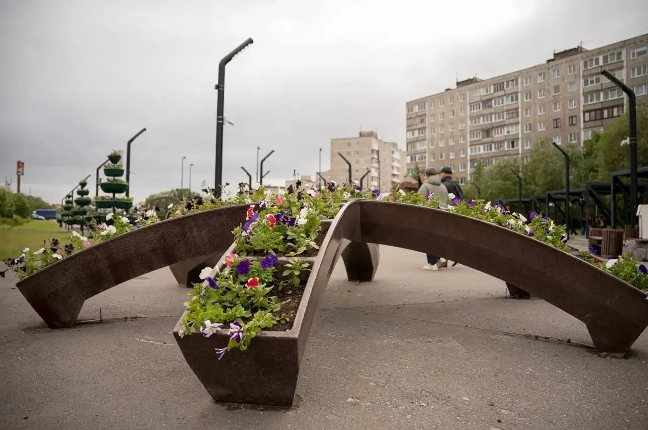 В парках и скверах Мурманска — на Кольском проспекте, в сквере Чистый ручей, в аллее у театра Северного флота и у здания Управления Первомайского округа — появились петунии и бархатцы.