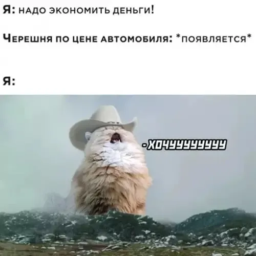 Обход супермаркетов, киосков и городских рынков показал, что цены на черешню в Челябинске колеблются примерно от 500 до 900 рублей за килограмм в зависимости от места продажи и качества.