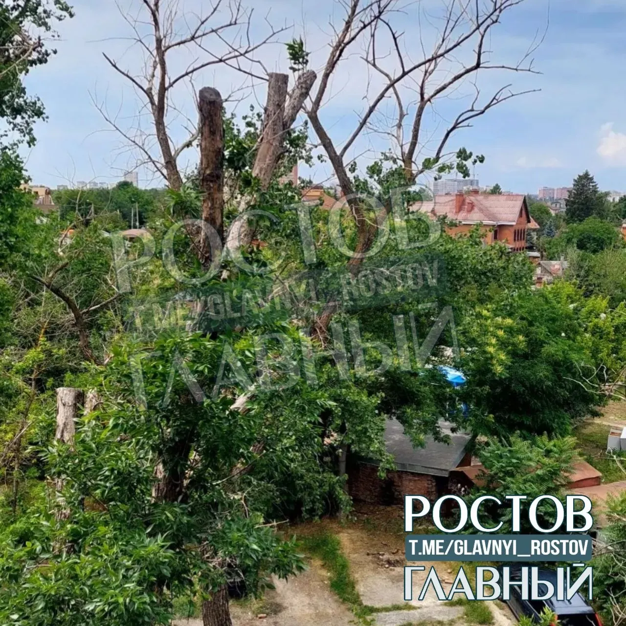 Жительница дома сообщает, что два года назад во дворе срезали верхушки сухих деревьев, но они продолжают усыхать. Оставшиеся сухие ветви представляют опасность для машин и детей — требуется проверка и меры со стороны коммунальных служб.