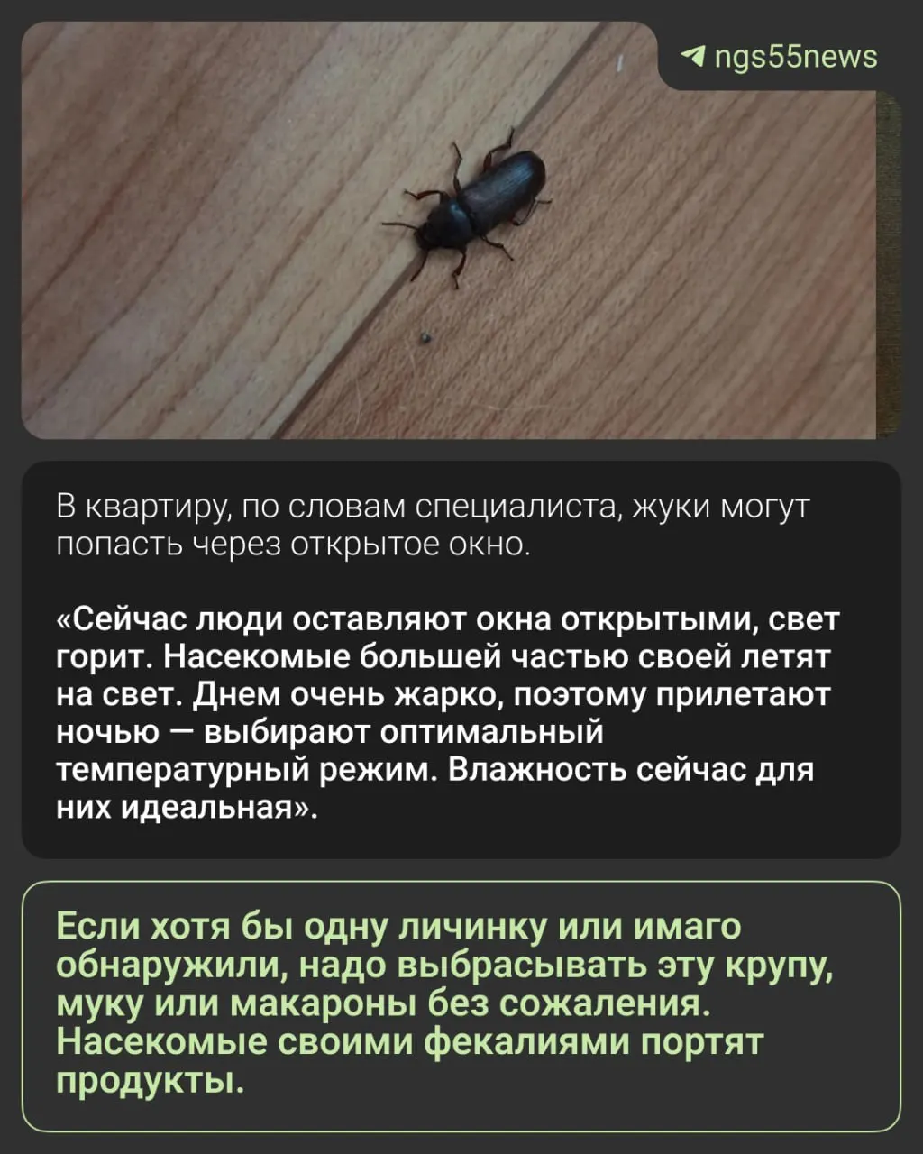 Жители Омска сообщили о появлении в квартирах черных жуков. По словам эксперта, скорее всего это хрущак — насекомое, которое часто заводится в крупах и муке. Советы по обнаружению и устранению вредителей.