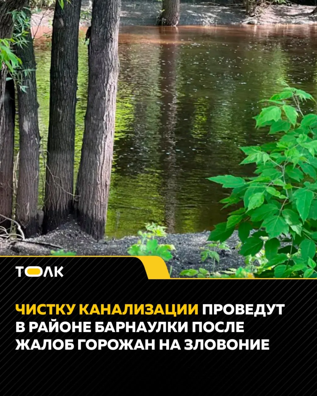 Жители Барнаула пожаловались на неприятный запах возле реки Барнаулки. Специалисты вместе с администрацией обследовали сети водоотведения и 10 июня проведут профилактическую чистку и герметизацию колодцев.