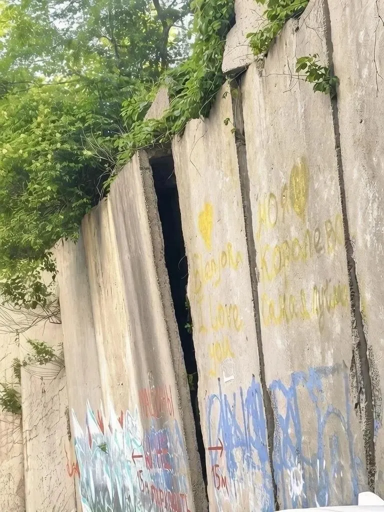 После дождей плита шестиметровой подпорной стены у дома на Адмирала Кузнецова, 80 постепенно наклоняется. Экспертиза признала конструкцию аварийной, жильцы жалуются на затягивание судов и бездействие властей.