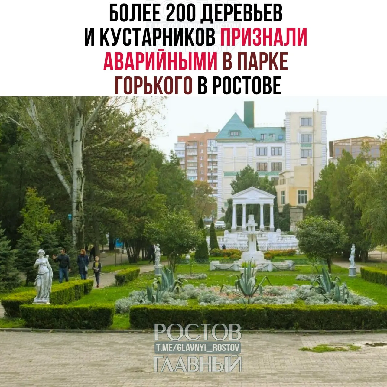 Проверка почти 2,5 тысячи растений показала: здоровыми оказались только 155 экземпляров, около 1,8 тыс. ослаблены, а 201 насаждение подлежат спилу.