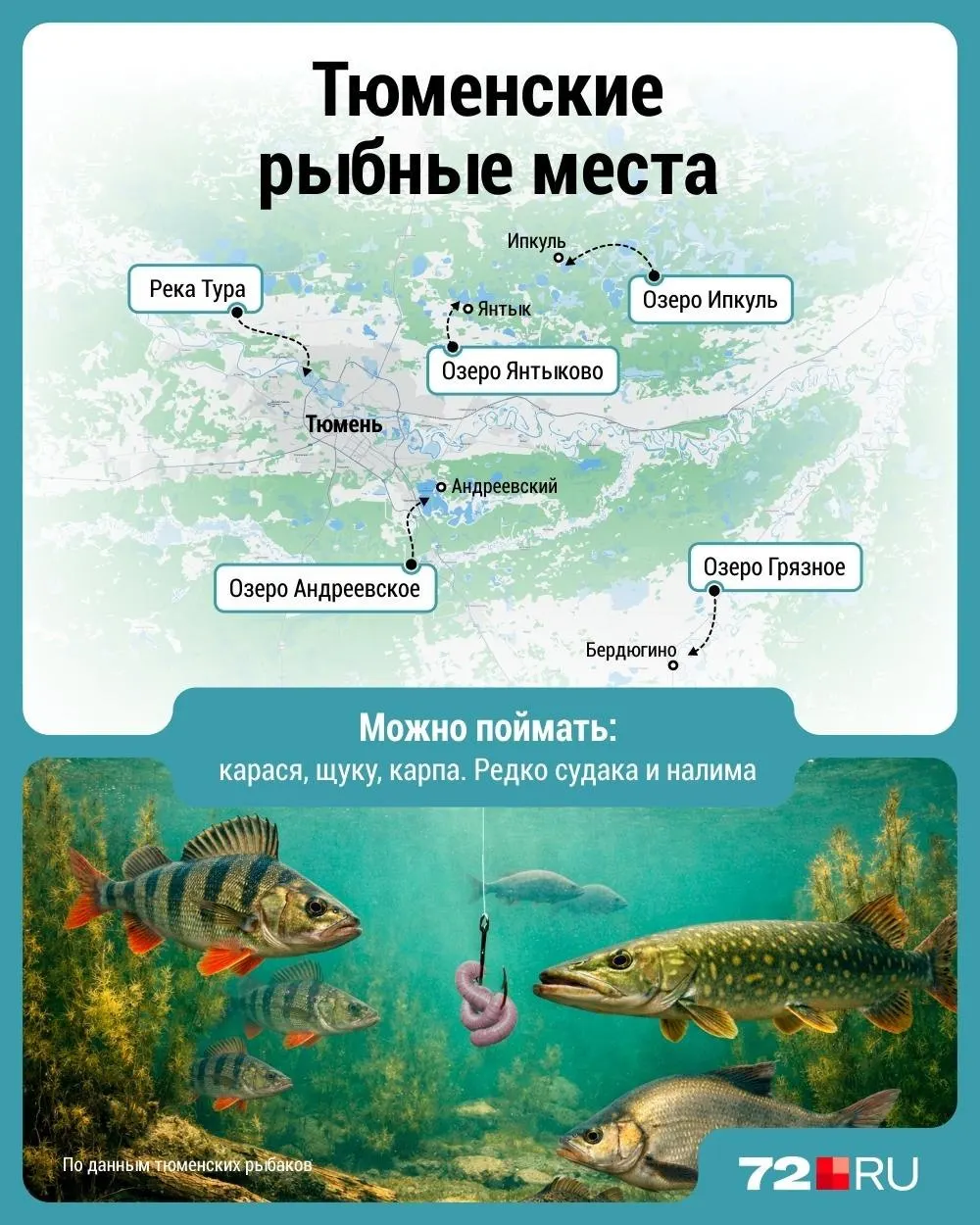 Сезон рыбалки в Тюмени в самом разгаре. Рассказываем, где искать улов — озёра Андреевское, Ипкуль, Грязное, а также старицы и разливы реки Тура, и предлагаем карточку с координатами.