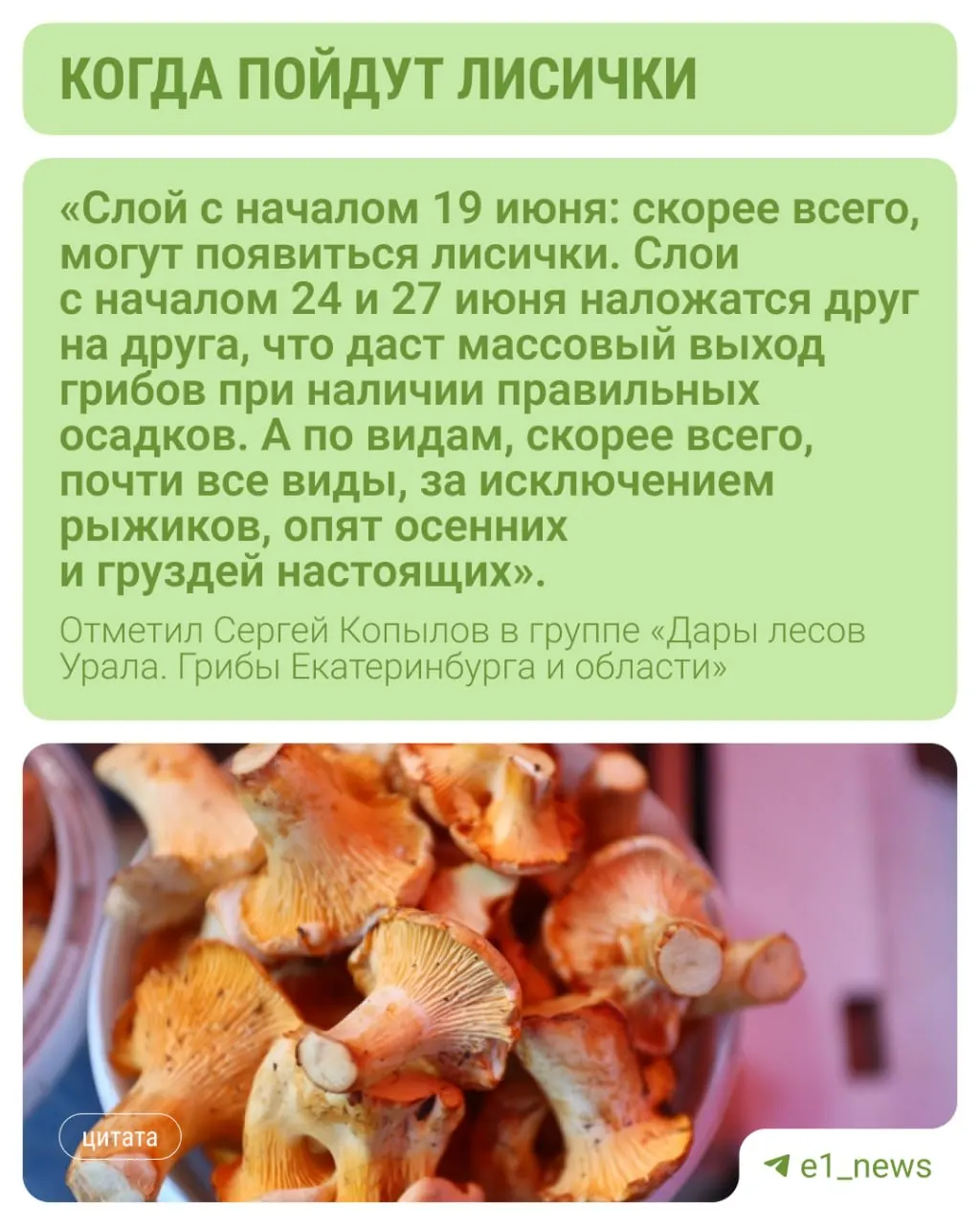 Грибной метеоролог Сергей Копылов ожидает первые рыжие лисички в уральских лесах уже после 19 июня.