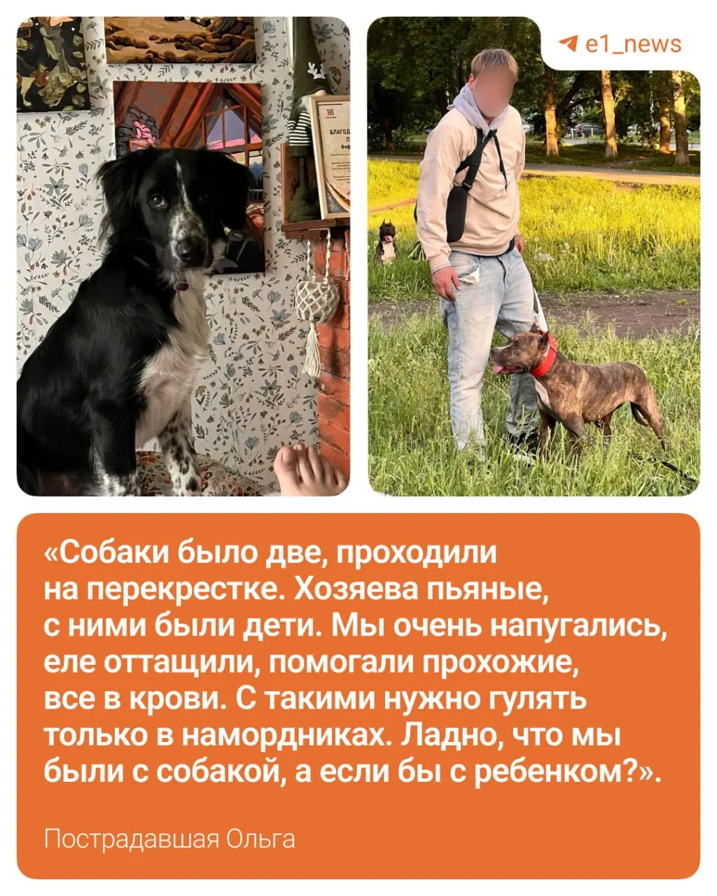 На перекрёстке Бакинских Комиссаров — Восстания собака бойцовской породы напала на женщину и её щенка. У животного — укусы и гематомы, хозяйка написала заявление в полицию.