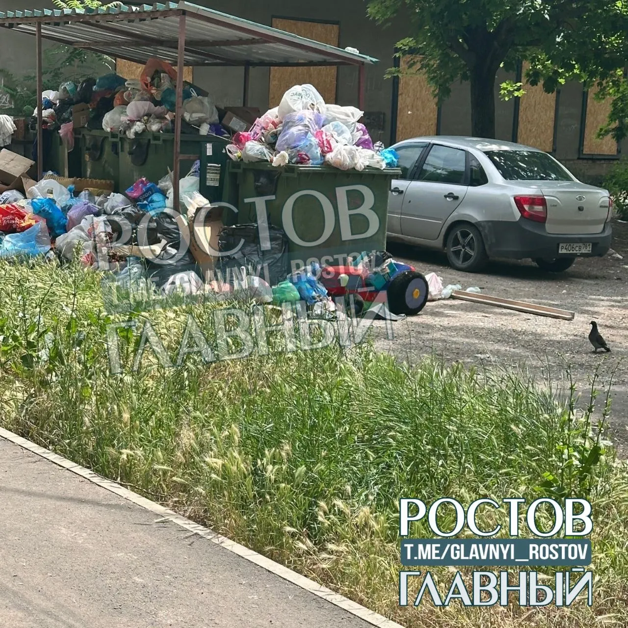 Жители Октябрьского района Ростова-на-Дону жалуются, что муниципальный участок у дома №8 зарастает и превращается в свалкой: трава до 120 см, повсюду мусор, рядом детская площадка и школа.