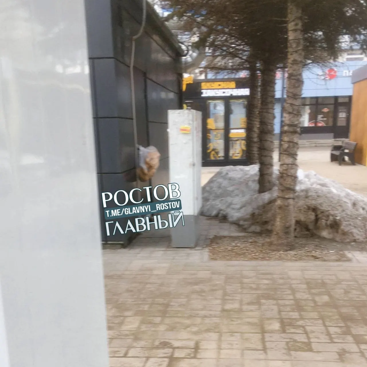 Жительница Ростова-на-Дону заметила, что у точки с шаурмой на улице Шолохова периодически оставляют хлебобулочные изделия прямо на улице; это вызывает опасения по поводу гигиены и санитарии.