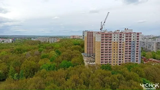 Мэр утвердил проект, по которому часть парка вырубят, проведут дорогу и построят высотки — жители протестовали и собираются оспорить решение в суде.