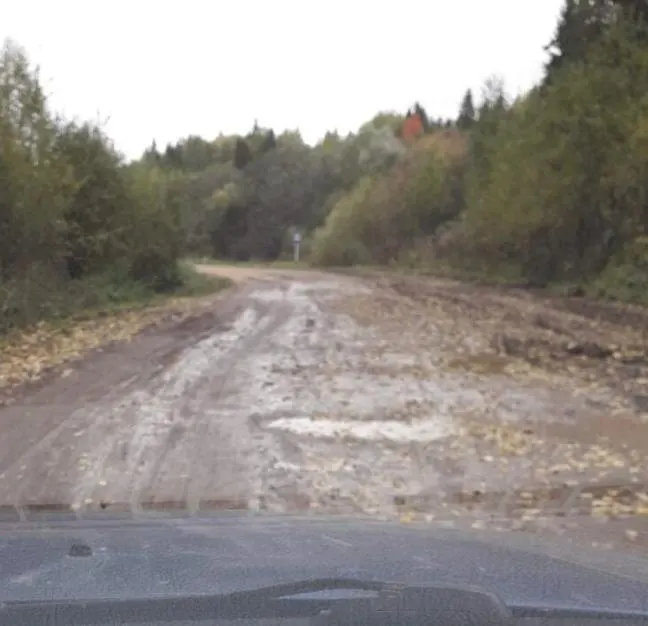 В Нытвенском округе закрывают местный детский сад. Власти обещают перевозки в Нытву на автобусах не более 15 минут, но жители опасаются за безопасность пути; надзор обязал отремонтировать дорогу до осени.