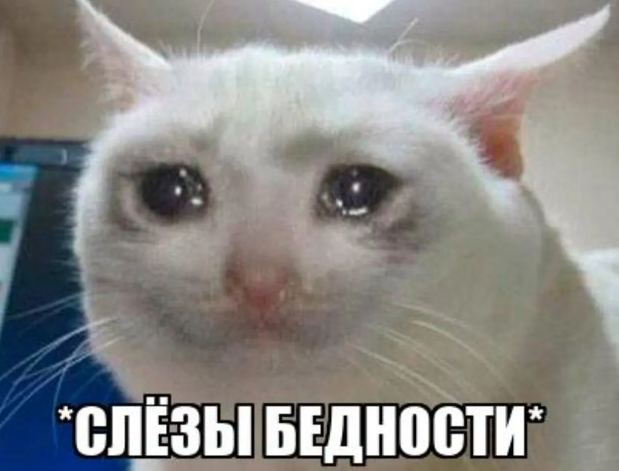 Соотношение медианных доходов и стоимости базовой корзины показало рост числа нуждающихся: зарплаты стагнируют, а цены продолжают расти.