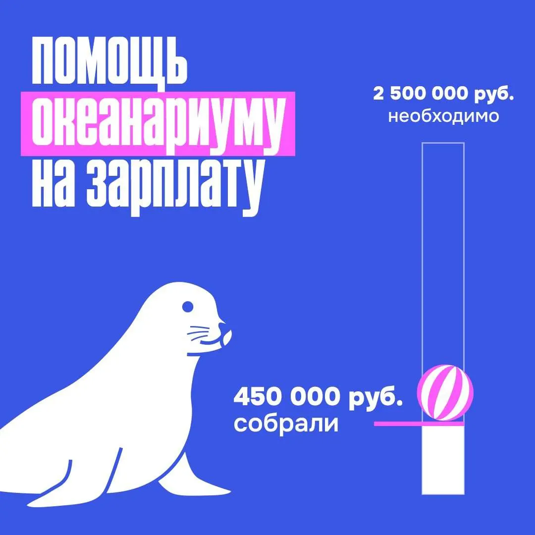 На добровольных пожертвованиях удалось собрать 450 тыс. руб. из необходимых 2,5 млн. В помощи участвовали губернатор, представители власти, партии, неравнодушные жители, бывшие сотрудники и участники СВО.