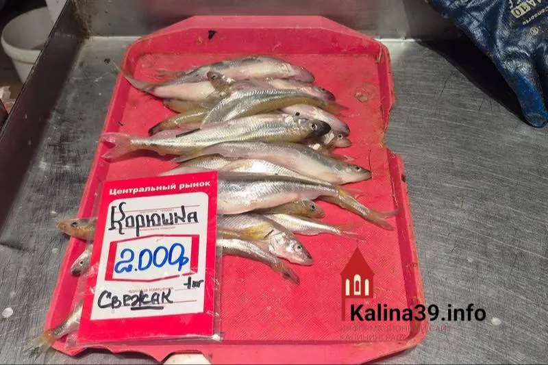 Жители региона жалуются, что рыба, яйца и другие продукты местного производства зачастую стоят дороже, чем в центральной России, хотя зарплаты в регионе ниже.