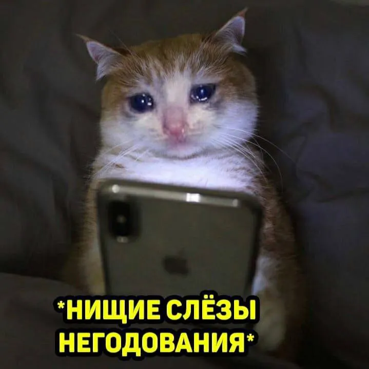 34‑летний житель Самары перевёл 19,5 тыс. руб. за «бронирование места» перед встречей в кино — девушка не пришла и перестала выходить на связь. По факту мошенничества начато уголовное расследование, подозреваемую ищут.