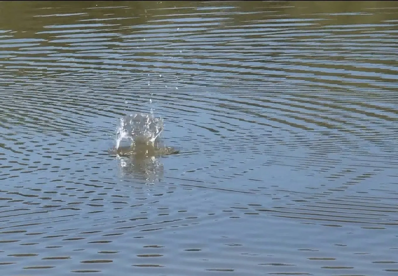 Возле села Озеро-Петровское 30‑летний мужчина почувствовал себя плохо во время купания, его вытащили на берег, но спасти не удалось. Ранее в Барнауле также зафиксирован случай утопления при катании на сап-борде.