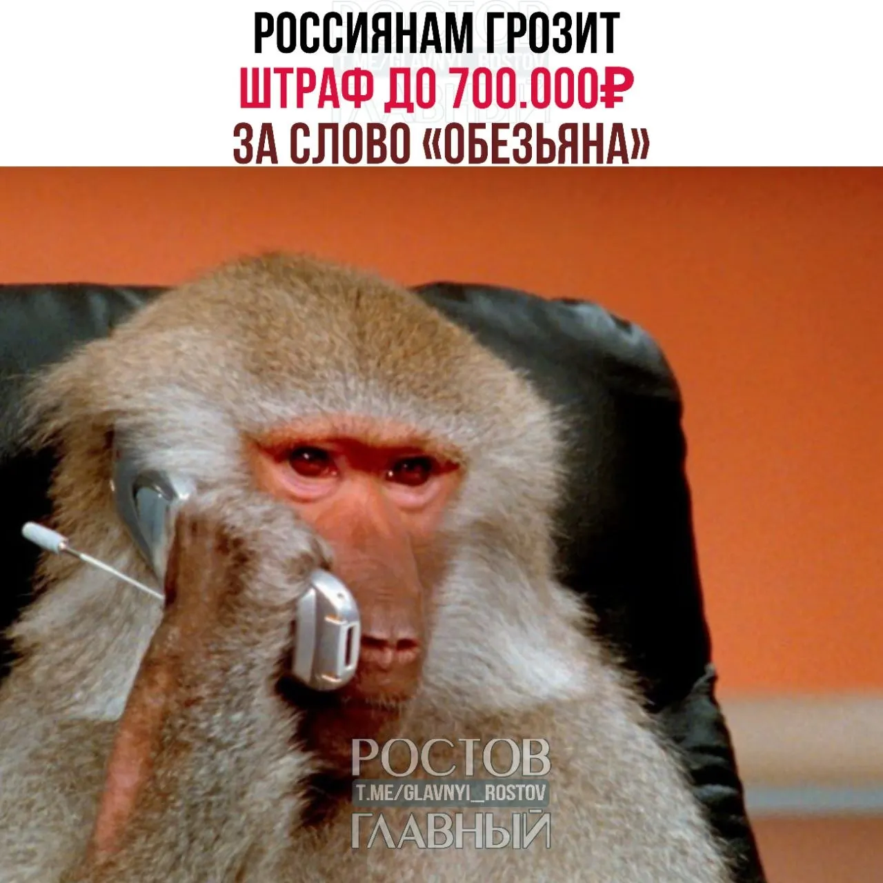 Публичное называние человека «обезьяной» может быть признано оскорблением: штрафы — до 10 000 ₽ для граждан, до 100 000 ₽ для должностных лиц и до 700 000 ₽ для юридических лиц.