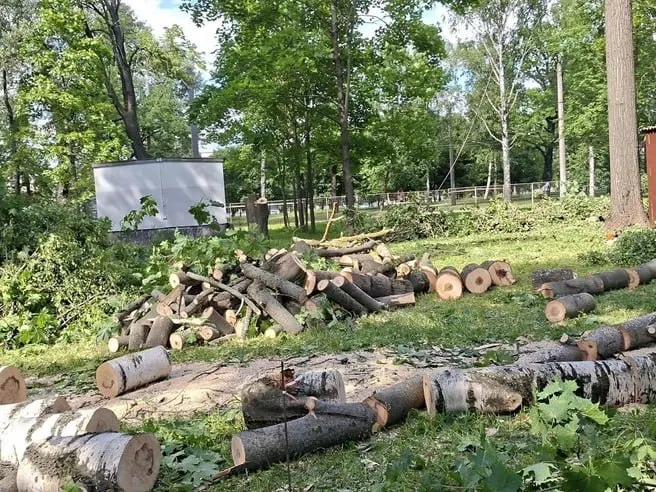 В сквере рядом с дацаном спилили 48 деревьев и 46 кустарников. Территорию планируют благоустроить: поставить памятник пограничникам, проложить аллею, установить скамейки и светильники; работы оценивают в 142,4 млн рублей и рассчитывают завершить к Дню пограничника 2027 года.