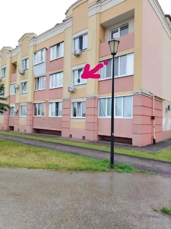 В микрорайоне Южный город неравнодушные подростки и соседи освободили кошку, застрявшую в приоткрытом окне; животное возвращено владельцам, ветеринары советуют устанавливать защитные сетки.