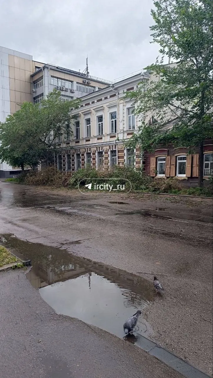 На улице Марата в центре города снесли несколько яблонь. Сначала прохожие связали это с насекомыми, но в администрации сообщили, что деревья были прогнившими и представляли опасность; на их месте планируют высадить тополя.