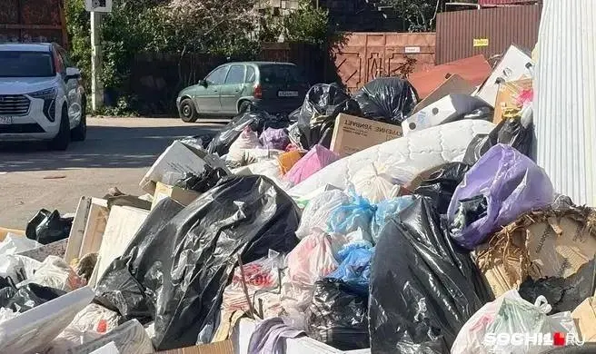 Суд установил, что переполнение контейнерных площадок в Сочи создаёт угрозу массовых инфекционных заболеваний и признал бездействие городских властей незаконным.