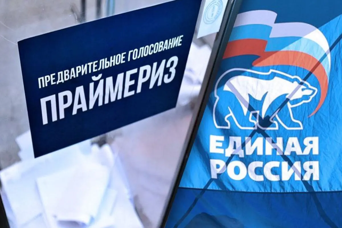 Политологи отмечают, что результаты праймериз во Владивостоке указывают на дефицит приемлемых кандидатов: ряд потенциальных претендентов не готов идти от партии из‑за высокого антирейтинга, возможен рост самовыдвиженцев и усиление «Новых людей».