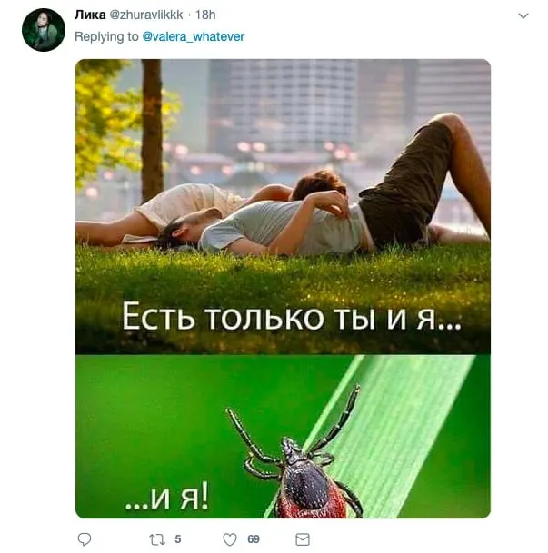 С начала эпидсезона зарегистрировано 5 997 обращений за медицинской помощью, 1 515 из них — в Барнауле; у 147 человек подозревают сибирский клещевой тиф, в снятых клещах находили возбудителей боррелиоза и энцефаллита.